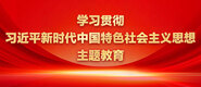 老淑女两性逼想做叉叉学习贯彻习近平新时代中国特色社会主义思想主题教育_fororder_ad-371X160(2)